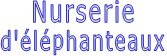 Nurserie d'éléphanteaux