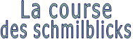 La course des schmilblicks