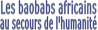 Les baobabs africains au secours de l'humanité